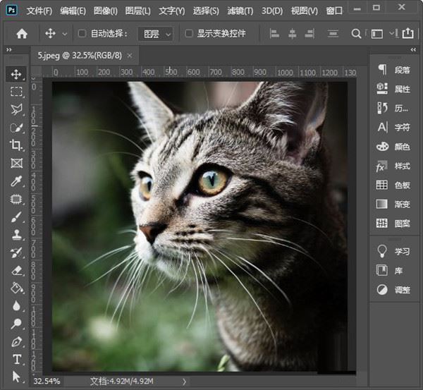 Photoshop 2022(支持ACR14.2)中文破解版下载PS一键安装教程插图12