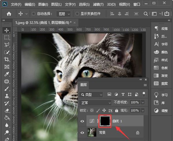 Photoshop 2022(支持ACR14.2)中文破解版下载PS一键安装教程插图15