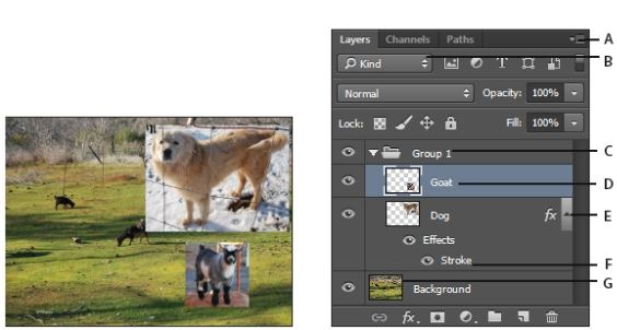Adobe Photoshop 2023(ps2023) v24.0.0.59 中文直装版(附激活补丁+安装教程)插图5