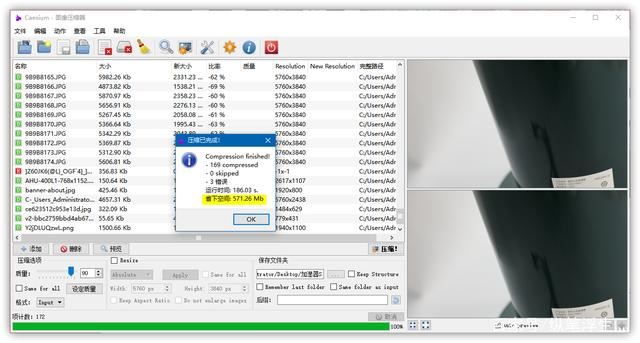 Caesium Image Compressor 图片压缩软件 v1.0.2 安装版+绿色版插图8