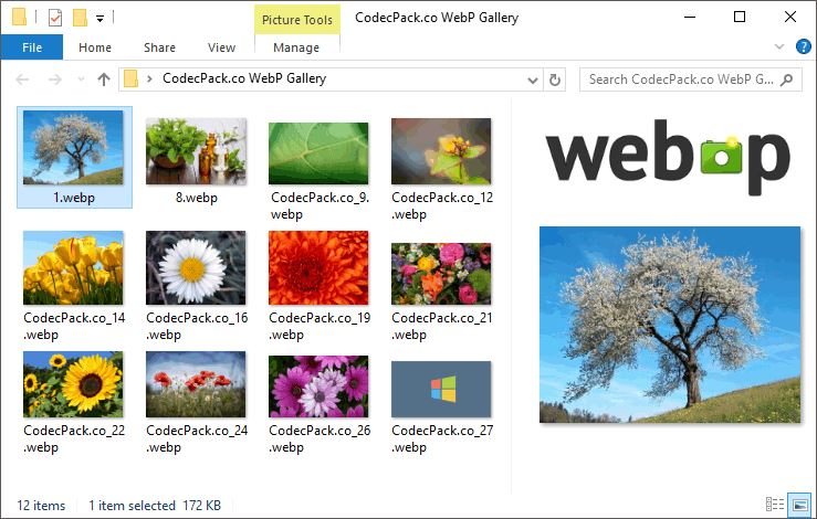 WebpCodec支持WebP格式 v0.19 直装破解版 附激活教程插图