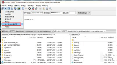 FTPS/SFTP客户端 FileZilla Pro v3.60.1 32/64 破解版 附激活教程插图18