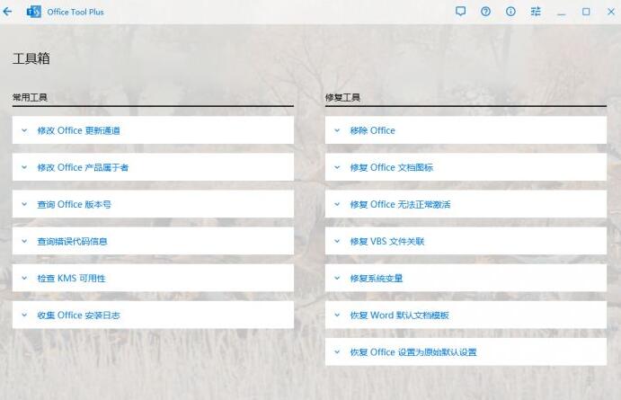 Office Tool Plus(Office部署安装工具) V9.0.3.6 中文免费绿色版(无.NET框架)插图