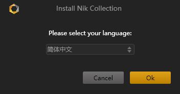 PS滤镜插件八件套装Nik Collection V5.0.0 64位中文破解版 for PS2020-2022插图1