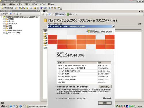 Microsoft SQL Server 2005简体中文开发版迅雷下载插图