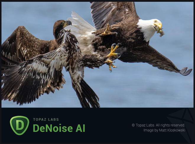 Topaz DeNoise AI中文下载全家桶+专业级图片降噪软件图片处理安装教程-1