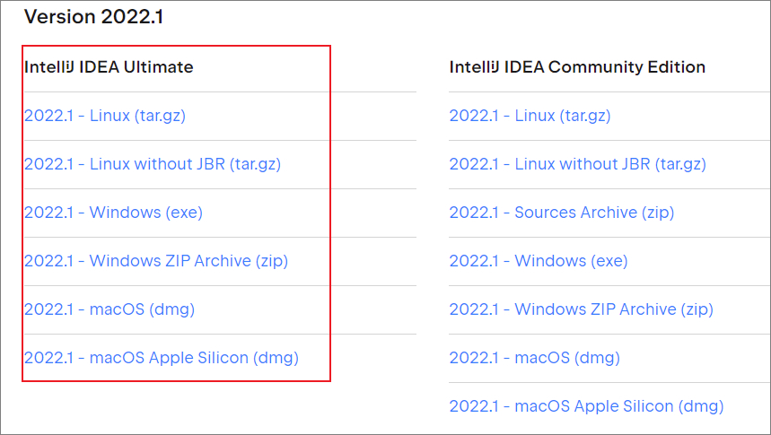 IntelliJ IDEA 2022.1永久破解激活教程-3