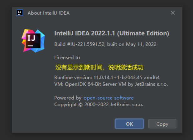 IntelliJ IDEA 2022.1永久破解激活教程(亲测有效，持续更新)-21