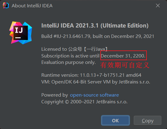 IntelliJ IDEA 2021.3.1永久破解激活教程-15