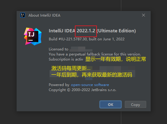 IntelliJ IDEA 2022.1.2永久破解激活教程-1