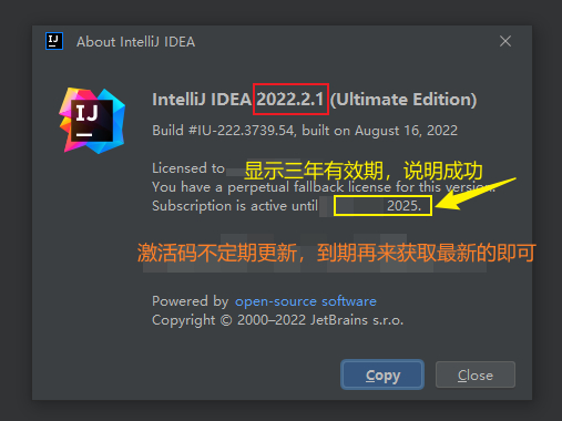 IntelliJ IDEA 2022.2.1永久破解激活教程-2
