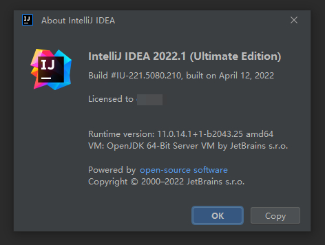 IntelliJ IDEA 2022.1永久破解激活教程(亲测有效，持续更新)-2