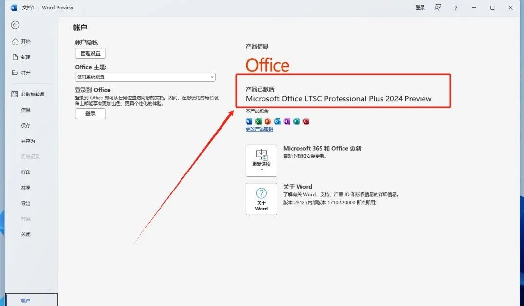 Office 2024一键安装 永久激活教程-7