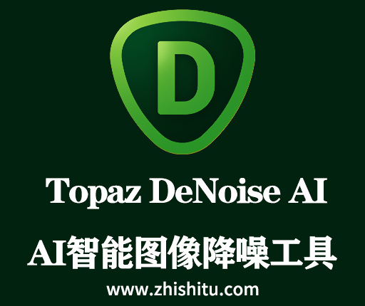 Topaz DeNoise AI 3.7.2免费下载 安装教程-1