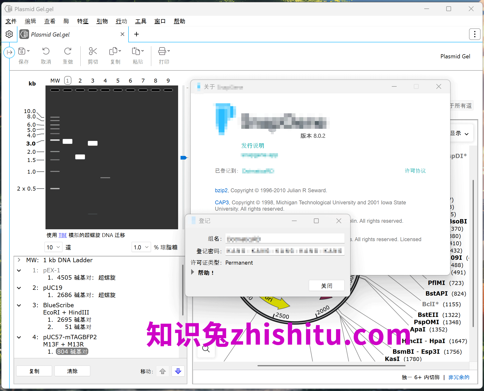 SnapGene 8.0.2 免费下载 安装教程-1